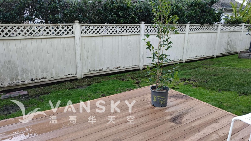 241202120435_unnamed 1.jpg